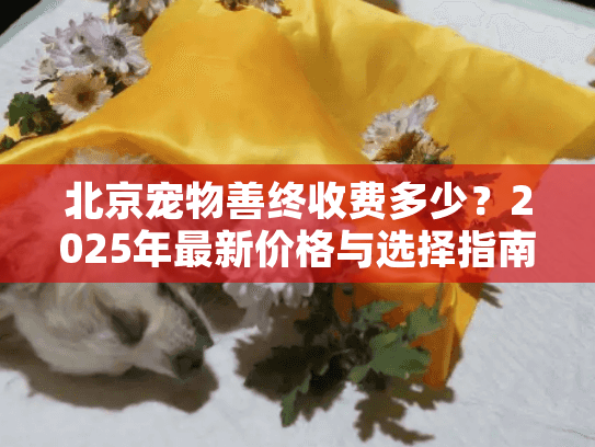 北京宠物善终收费多少？2025年最新价格与选择指南