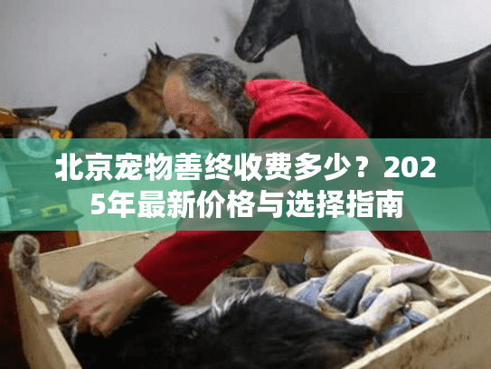 北京宠物善终收费多少？2025年最新价格与选择指南