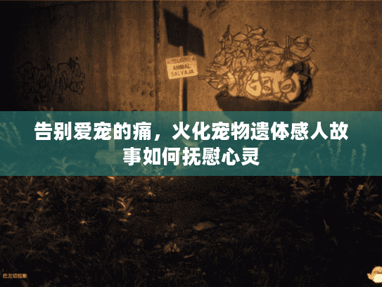 告别爱宠的痛，火化宠物遗体感人故事如何抚慰心灵