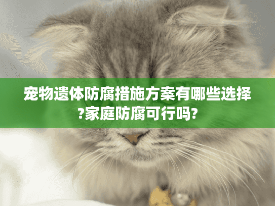 宠物遗体防腐措施方案有哪些选择?家庭防腐可行吗? 宠物遗体防腐措施方案有哪些选择?家庭防腐可行吗?