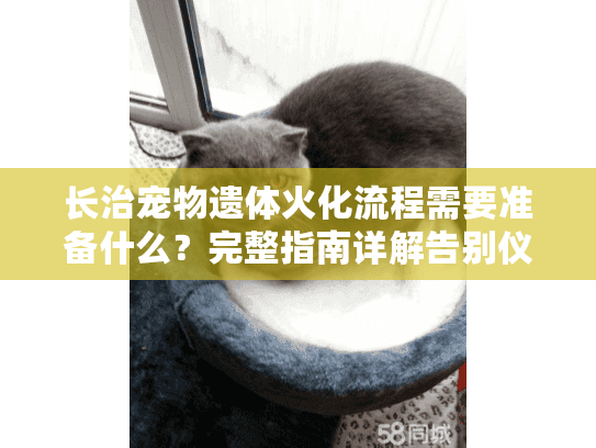 长治宠物遗体火化流程需要准备什么？完整指南详解告别仪式