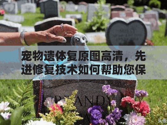 宠物遗体复原图高清，先进修复技术如何帮助您保存宝贵记忆？