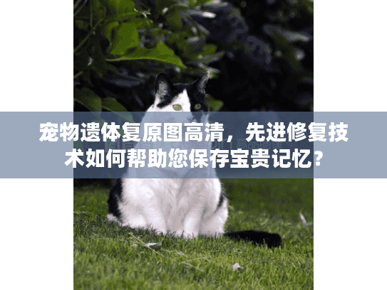 宠物遗体复原图高清，先进修复技术如何帮助您保存宝贵记忆？