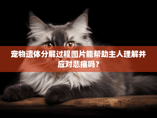 宠物遗体分解过程图片能帮助主人理解并应对悲痛吗？