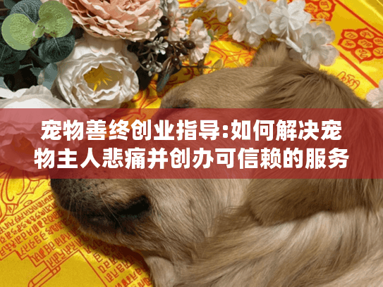 宠物善终创业指导:如何解决宠物主人悲痛并创办可信赖的服务?