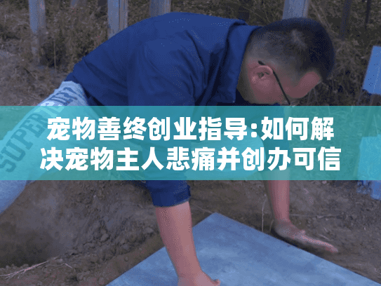 宠物善终创业指导:如何解决宠物主人悲痛并创办可信赖的服务?