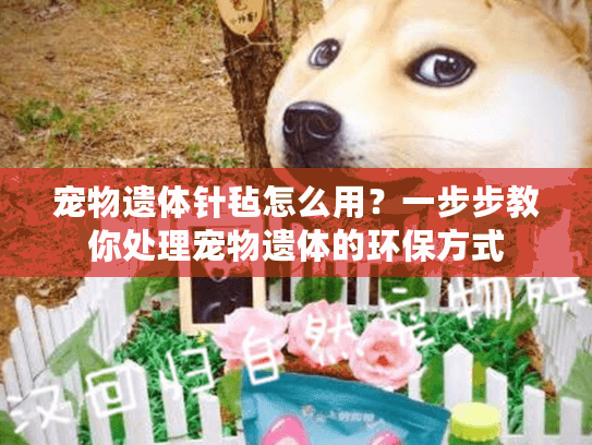 宠物遗体针毡怎么用？一步步教你处理宠物遗体的环保方式