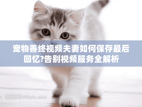 宠物善终视频夫妻如何保存最后回忆?告别视频服务全解析