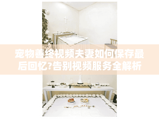 宠物善终视频夫妻如何保存最后回忆?告别视频服务全解析