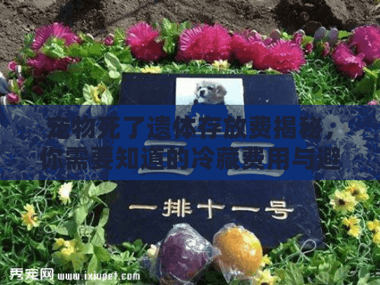宠物死了遗体存放费揭秘，你需要知道的冷藏费用与避坑指南