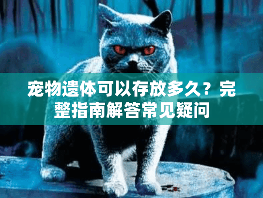 宠物遗体可以存放多久？完整指南解答常见疑问