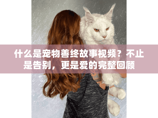 什么是宠物善终故事视频？不止是告别，更是爱的完整回顾