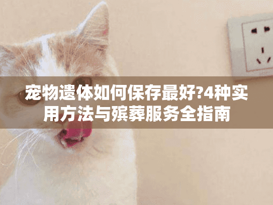 宠物遗体如何保存最好?4种实用方法与殡葬服务全指南