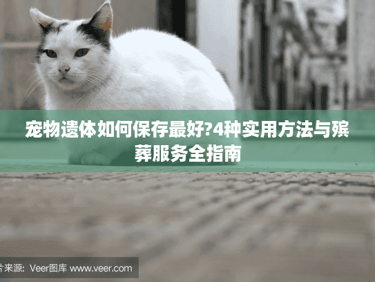 宠物遗体如何保存最好?4种实用方法与殡葬服务全指南