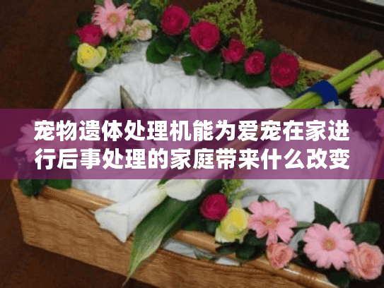 宠物遗体处理机能为爱宠在家进行后事处理的家庭带来什么改变?