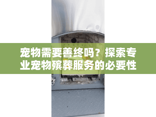 宠物需要善终吗？探索专业宠物殡葬服务的必要性