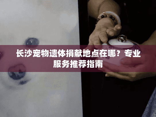 长沙宠物遗体捐献地点在哪？专业服务推荐指南