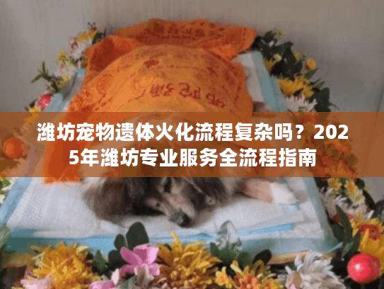 潍坊宠物遗体火化流程复杂吗？2025年潍坊专业服务全流程指南