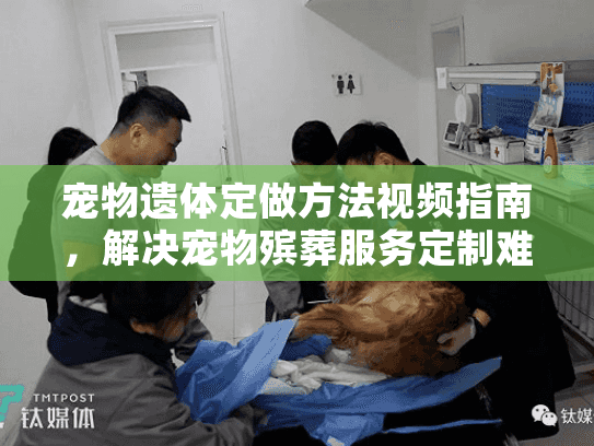 宠物遗体定做方法视频指南，解决宠物殡葬服务定制难题