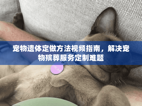 宠物遗体定做方法视频指南，解决宠物殡葬服务定制难题