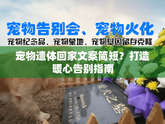 宠物遗体回家文案简短？打造暖心告别指南