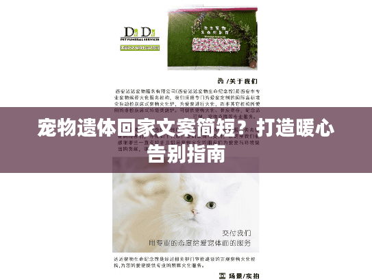 宠物遗体回家文案简短？打造暖心告别指南