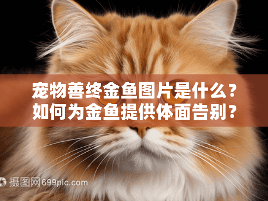 宠物善终金鱼图片是什么？如何为金鱼提供体面告别？