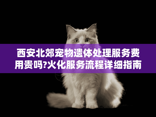 西安北郊宠物遗体处理服务费用贵吗?火化服务流程详细指南