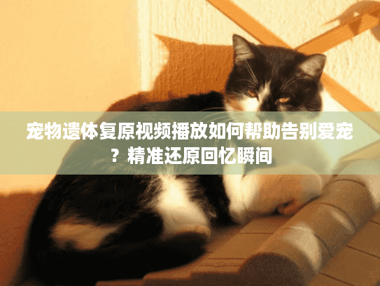 宠物遗体复原视频播放如何帮助告别爱宠？精准还原回忆瞬间