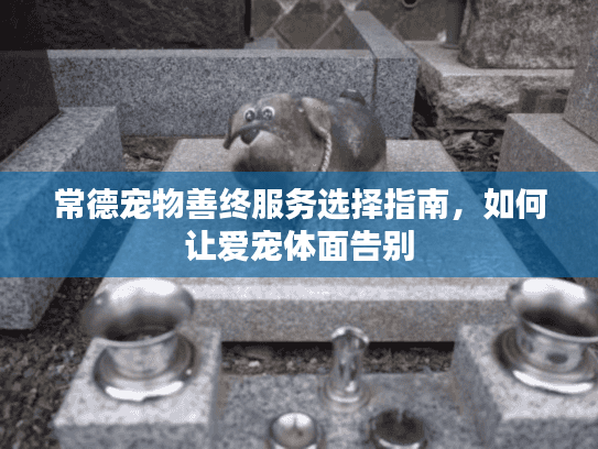常德宠物善终服务选择指南，如何让爱宠体面告别