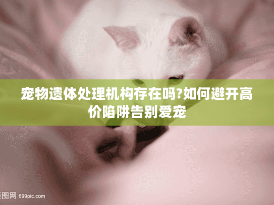 宠物遗体处理机构存在吗?如何避开高价陷阱告别爱宠