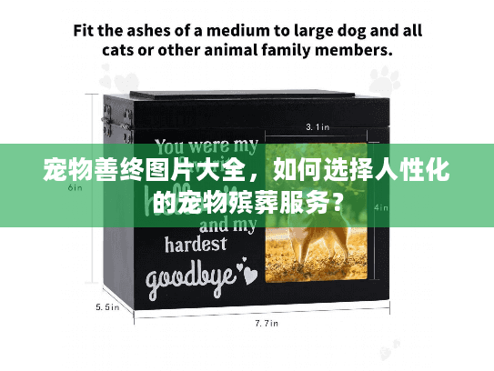 宠物善终图片大全，如何选择人性化的宠物殡葬服务？