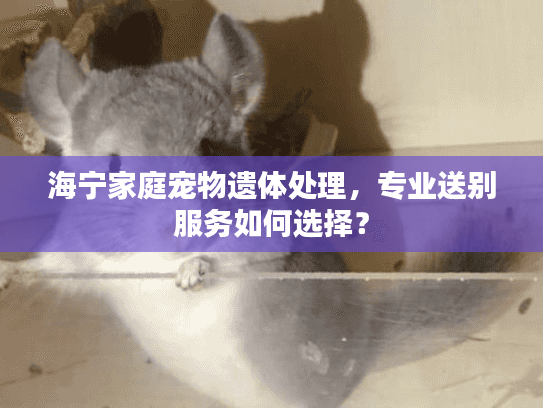 海宁家庭宠物遗体处理，专业送别服务如何选择？