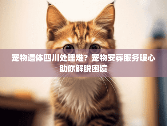 宠物遗体四川处理难？宠物安葬服务暖心助你解脱困境