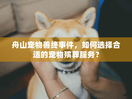 舟山宠物善终事件，如何选择合适的宠物殡葬服务？