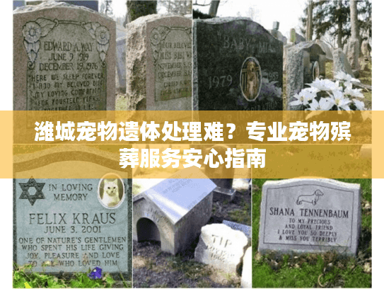 潍城宠物遗体处理难？专业宠物殡葬服务安心指南