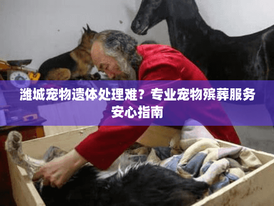 潍城宠物遗体处理难？专业宠物殡葬服务安心指南
