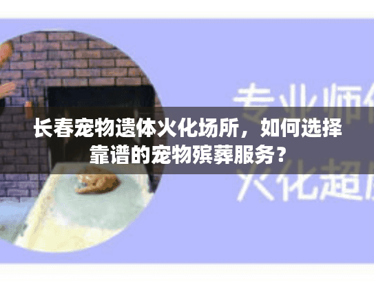 长春宠物遗体火化场所，如何选择靠谱的宠物殡葬服务？