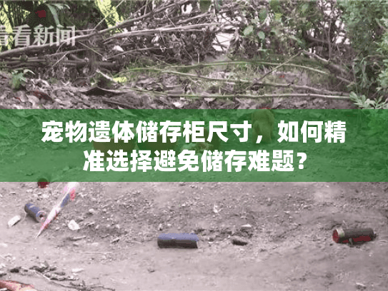 宠物遗体储存柜尺寸，如何精准选择避免储存难题？