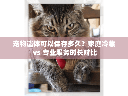 宠物遗体可以保存多久？家庭冷藏 vs 专业服务时长对比