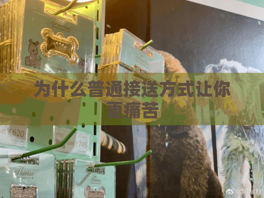 为什么普通接送方式让你更痛苦