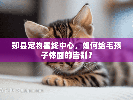 郧县宠物善终中心，如何给毛孩子体面的告别？