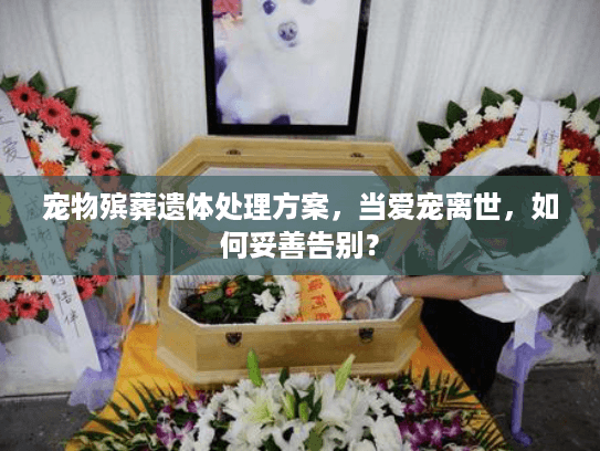 宠物殡葬遗体处理方案，当爱宠离世，如何妥善告别？