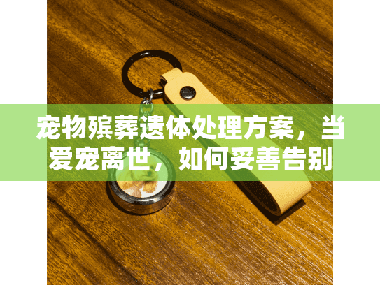 宠物殡葬遗体处理方案，当爱宠离世，如何妥善告别？