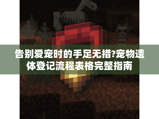 告别爱宠时的手足无措?宠物遗体登记流程表格完整指南