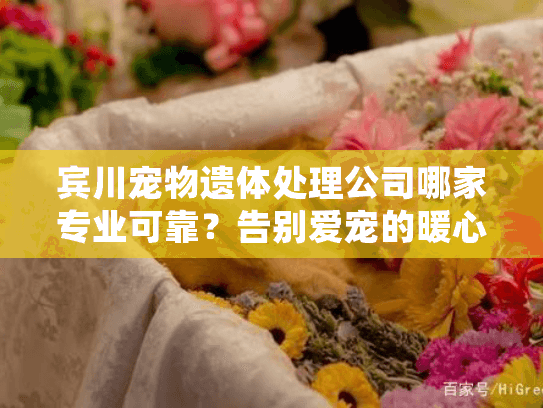 宾川宠物遗体处理公司哪家专业可靠？告别爱宠的暖心指南