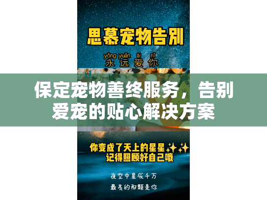 保定宠物善终服务，告别爱宠的贴心解决方案