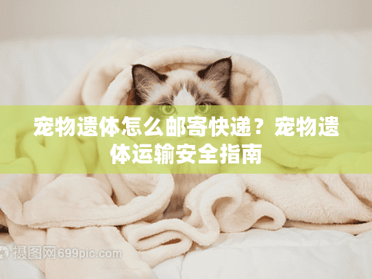 宠物遗体怎么邮寄快递？宠物遗体运输安全指南