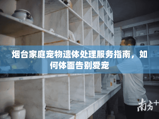 烟台家庭宠物遗体处理服务指南，如何体面告别爱宠