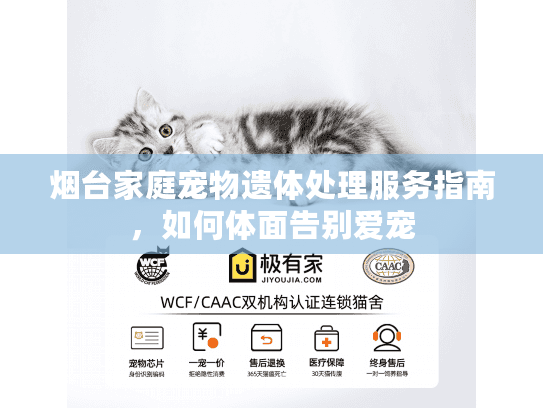 烟台家庭宠物遗体处理服务指南，如何体面告别爱宠